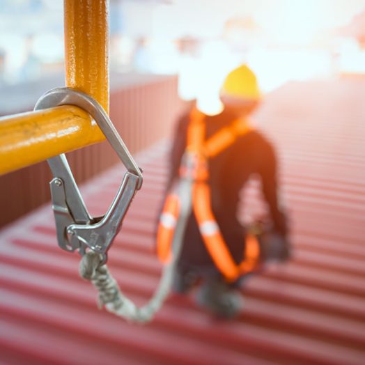 auraseg empresa missao